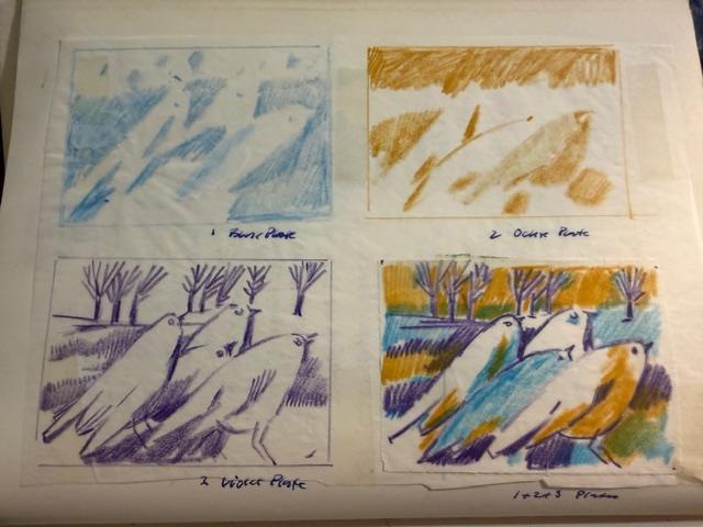 Rolf Paul printmaking study for a wren composition