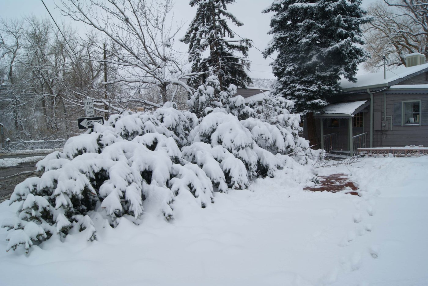 Where the tree came to rest beside the shop.