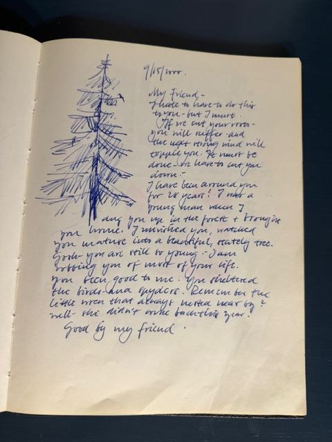 Rolf Paul's journal entry, September 15, 2000