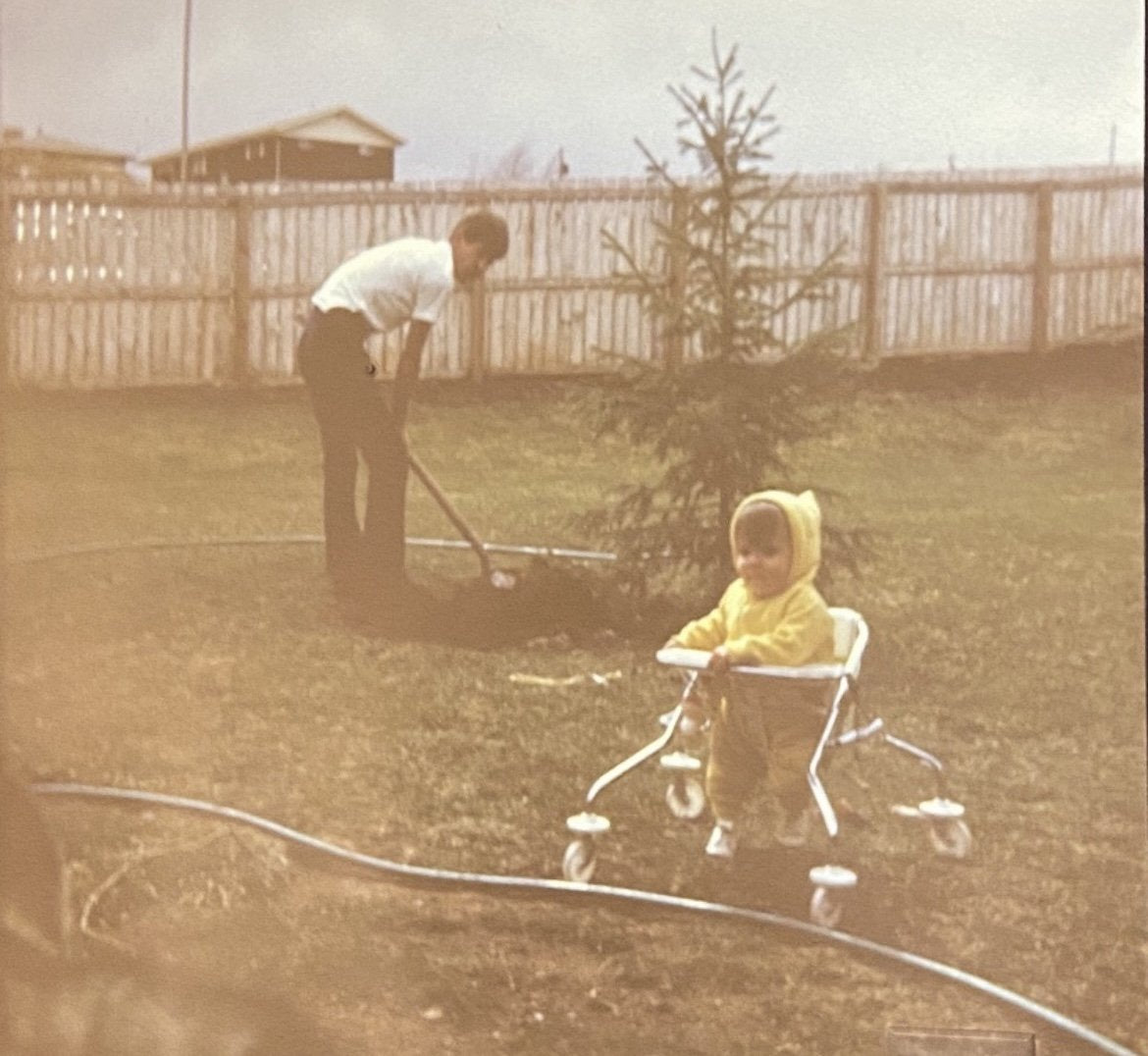 Rolf Paul planting a sapling in Morrison in 1971